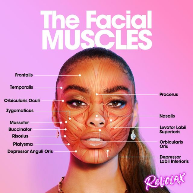 REVOLAX Revolax Filler The Nation s Favourite Dermal Filler